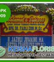 DPK 009