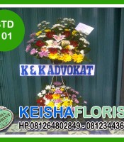 STD 101